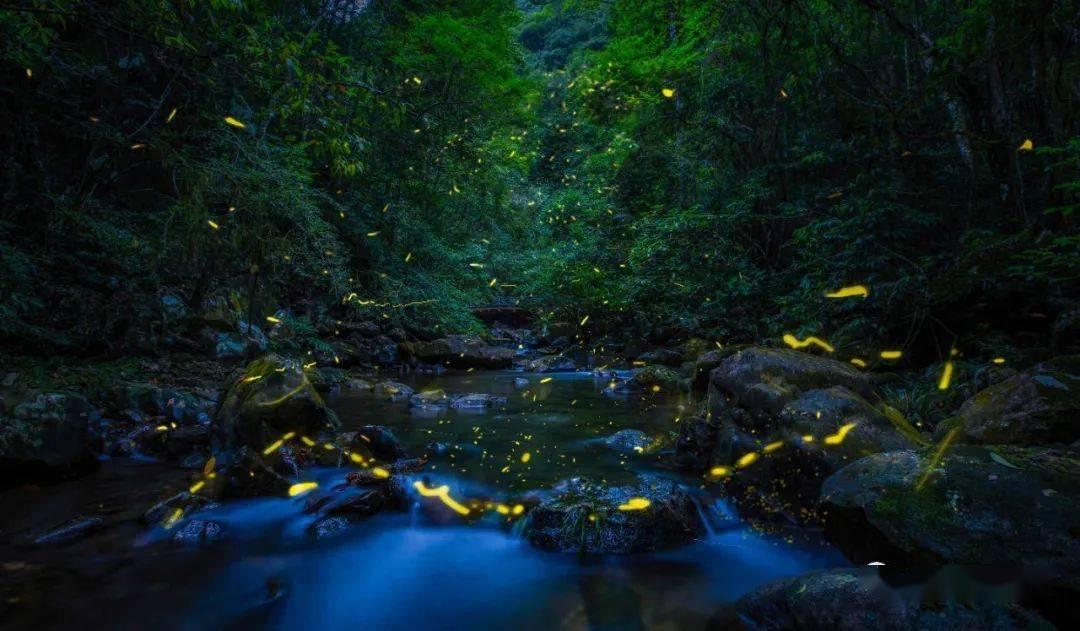 沙漠中寻宝
