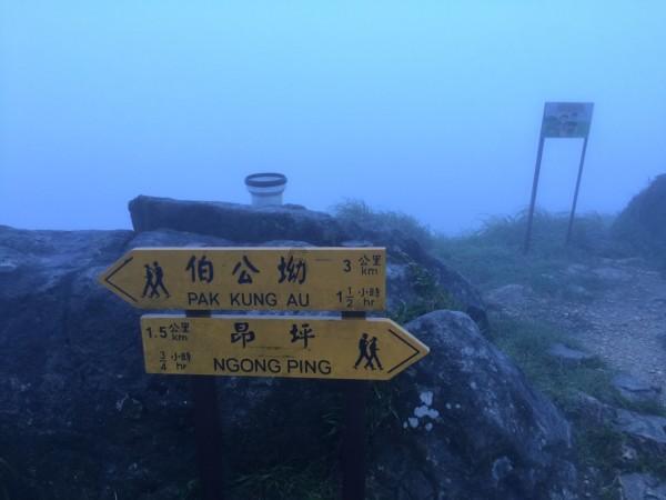 《幻兽帕鲁》四大神兽介绍