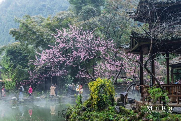 【活动】国学讲座《易经》来啦！快来报名吧→