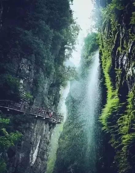 宝可梦探险寻宝