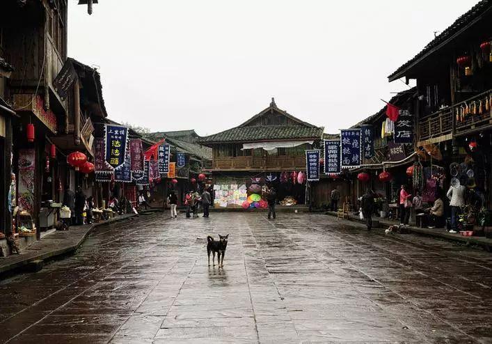 新仇旧恨4：上官林充当社会大哥